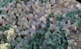 Sparkly Grape Agate Cluster - Indonesia #34287-1